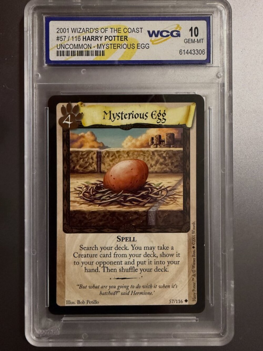 Mysterious Egg #57 | 2001 Wizards of the Coast | WCG 10